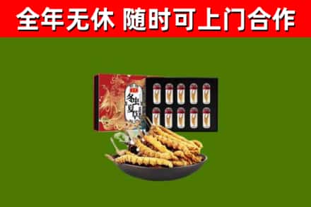 潍城回收冬虫夏草价格