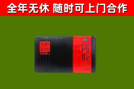 潍城回收阿胶